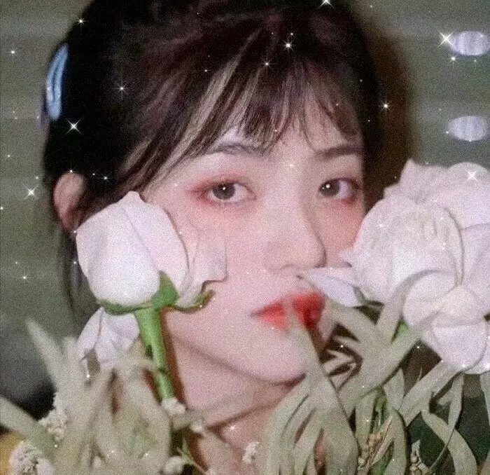 天才进化论